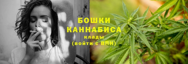 Альфа ПВП Богородицк