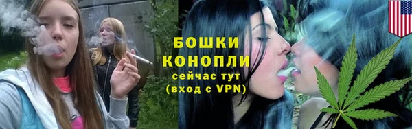 крисы Богданович