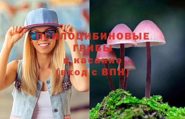крисы Богданович