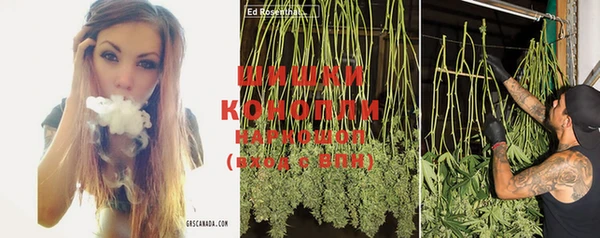 крисы Богданович