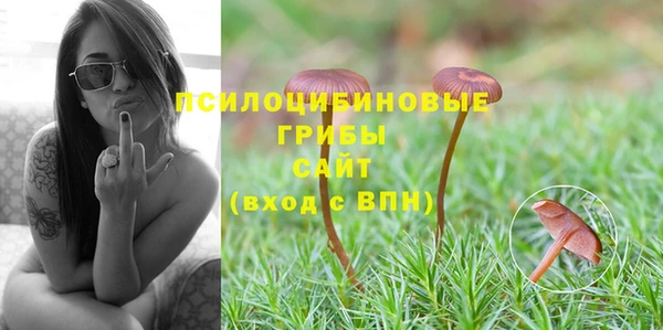 крисы Богданович