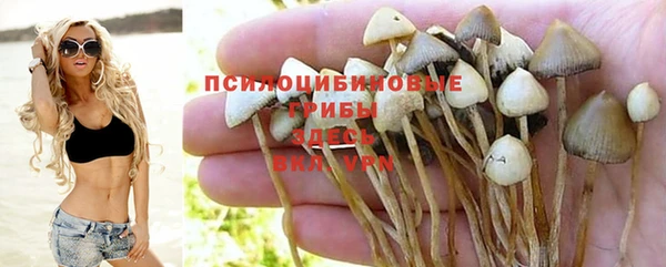 Альфа ПВП Богородицк